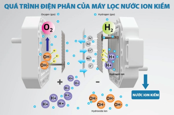 Nước Ion kiềm được tạo ra thông qua quá trình điện phân