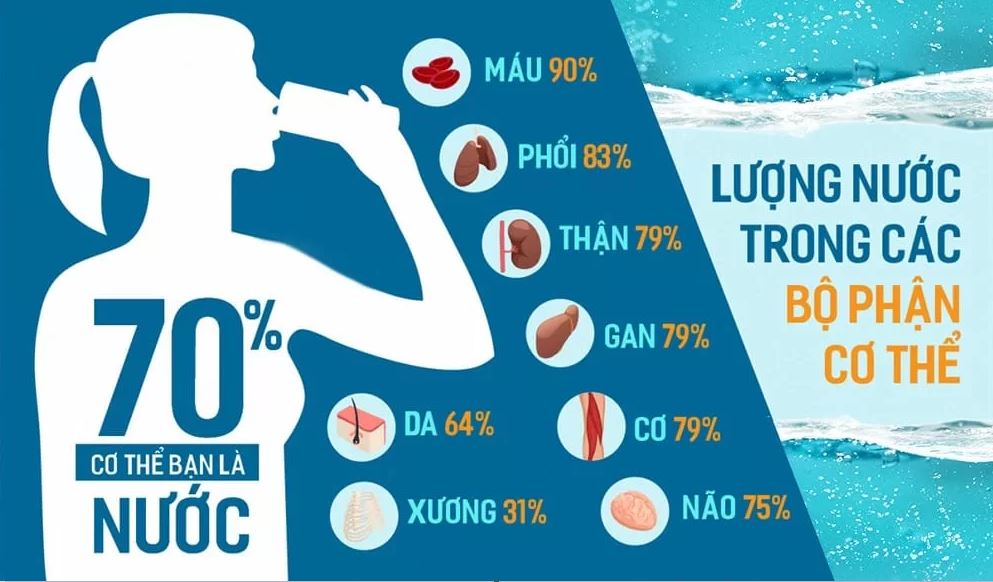 Uống bao nhiêu nước là đủ?